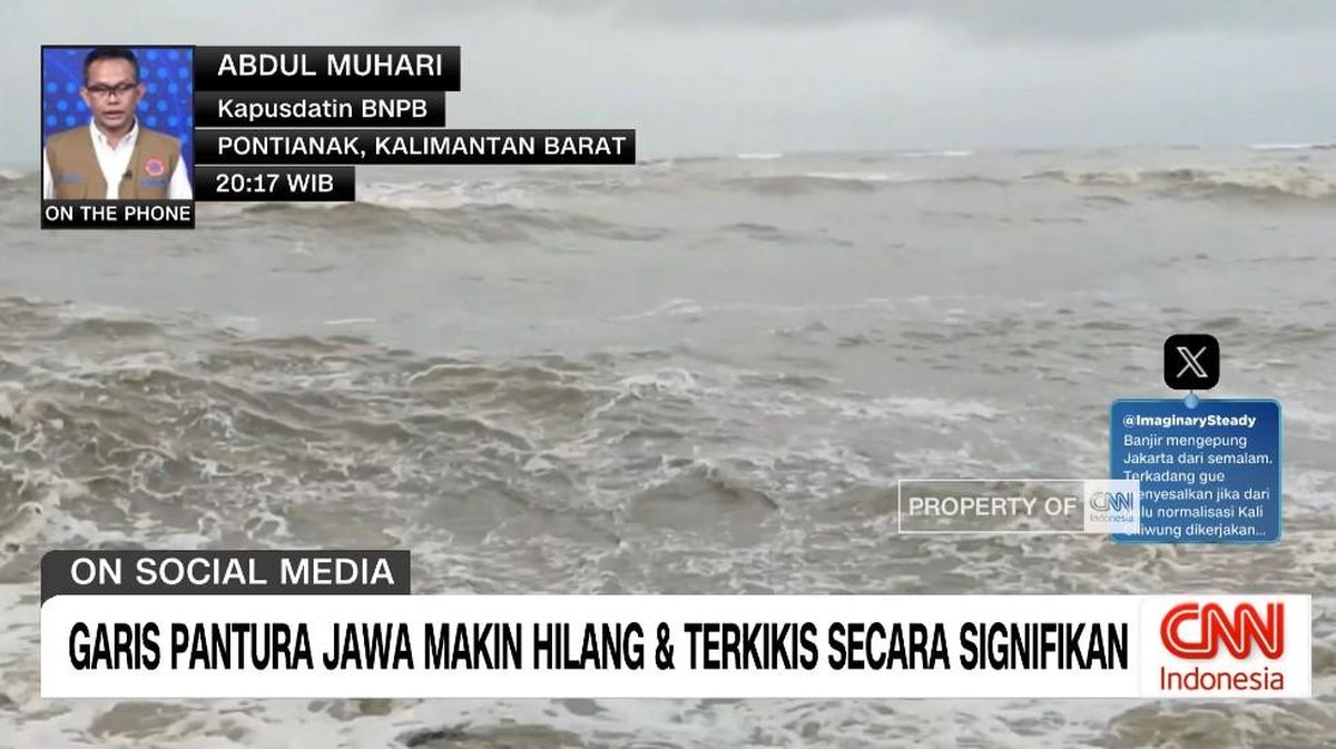 VIDEO: Garis Pantura Jawa Makin Hilang dan Terkikis Secara Signifikan