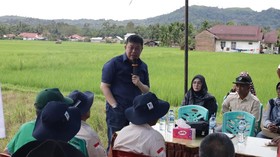 Wakil Ketua Komisi IV DPR: Sawah Bapokok Murah Hemat Biaya Produksi