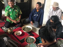 Fakta-fakta Petani Temukan 5.000 Keping Koin China Kuno di Lereng Bromo