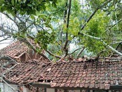 Pohon Beringin Timpa Dua Ruang Kelas SD Cianjur, 6 Siswa Terluka