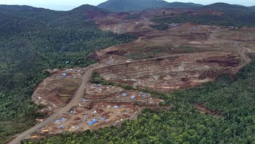 FOTO: Belantara Rimba Raja Ampat Kini Tinggal Cerita