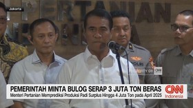 VIDEO: Pemerintah Minta Bulog Serap 3 Juta Ton Beras