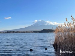 Survei Tunjukkan Pergeseran Tren Wisata 2025, Banyak yang Dipengaruhi TikTok