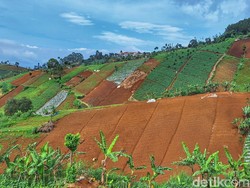 Krisis Lahan Kritis di Bandung Utara