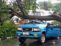 Detik-detik Pohon di Ngaliyan Semarang Timpa Panther-Lukai 5 Penumpang