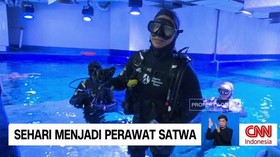 VIDEO: Sehari Menjadi Perawat Satwa