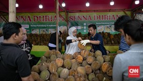 Durian Ilegal Marak di Indonesia, Petani Lokal Terancam