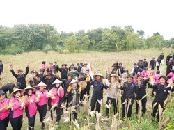 Program Ketahanan Pangan Polda Jateng, Panen Jagung Kuartal I Naik 33%