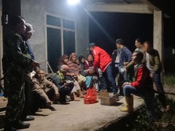 Harimau Kembali Muncul di Kebun Warga Lampung Barat, 8 KK Dievakuasi