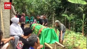 VIDEO: Nenek Berusia 65 Tahun Tewas Disengat Tawon Vespa