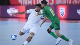 Link Live Streaming Timnas Futsal Indonesia vs Tanzania