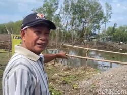 Tersangka Babat Mangrove Jadi Empang di Maros Dikenakan Wajib Lapor