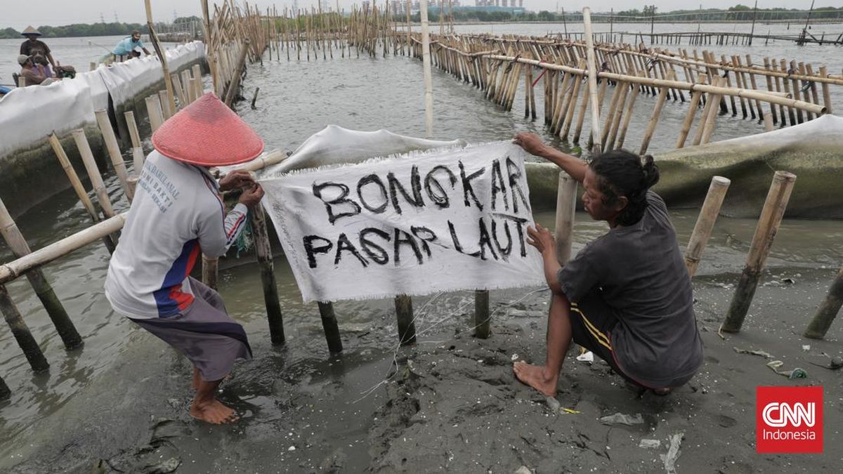 Kasus Pagar Laut Jangan Setop di Kades, Usut Aktor Utama dan Aliran Dana