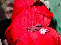 Geger Penemuan Mayat Wanita Terbungkus Kain Merah di Bantul