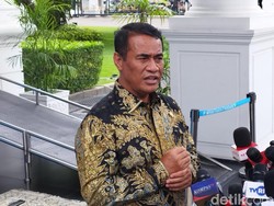 HPP Gabah Jadi Rp 6.500, Harga Beras Bakal Naik?