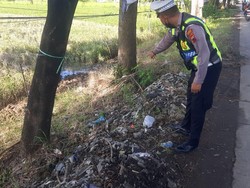 Diduga Microsleep, Pemotor Tewas Usai Tabrak Pohon-Jatuh ke Sawah di Kendal