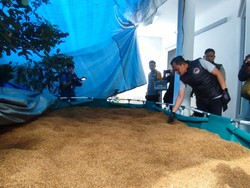Penampakan Kolam Buatan Berisi Tembakau Sintetis di Pabrik Narkoba Jabar