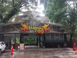 Drama Panjang Sengketa di Kebun Binatang Bandung