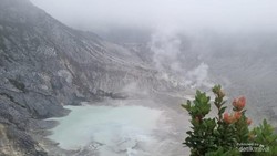 Aktivitas Gunung Tangkubanparahu Meningkat, Warga Diimbau Waspada