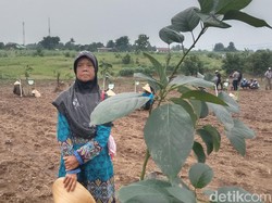 22 Tahun Tinggal di Hutan, Jalan Ade Menyambung Hidup