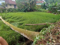 Angin Kencang Menerjang Desa Nasol Ciamis, Sejumlah Rumah Rusak