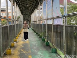DLHK Kerahkan Petugas Bersihkan Kotoran Hewan-Sampah di JPO Depok