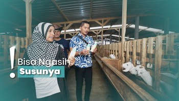 title-image Mengunjungi Peternakan Dombos di Wonosobo, Produksi Susu Kambing