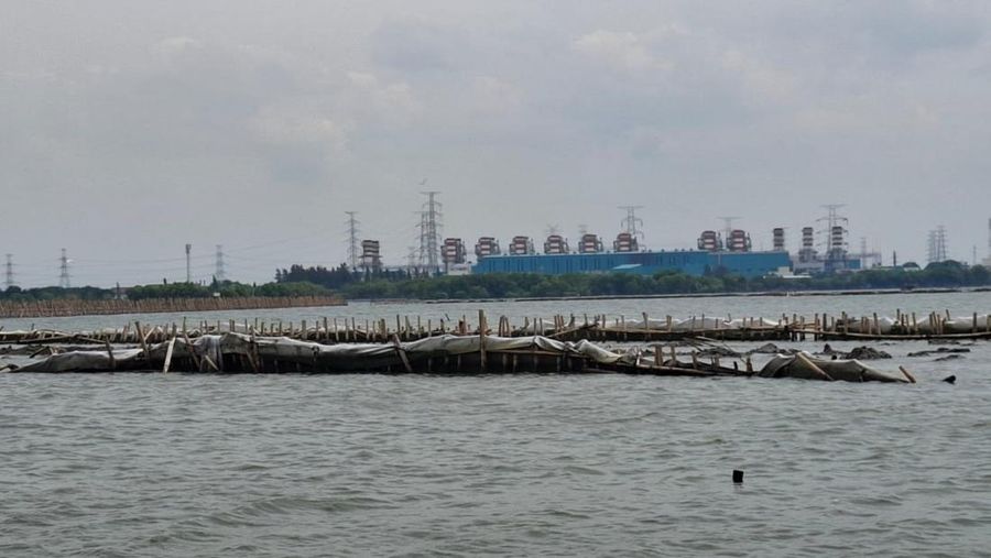 Pagar laut di Bekasi. (Dok. Detikcom/Retno Ayuningrum)