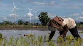 FOTO: Indonesia Bersiap Tambah Pasokan Listrik dari Tenaga Angin
