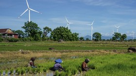 Sektor Mana Terbanyak Ciptakan Kerjaan Bagi 145,77 Juta Orang RI?