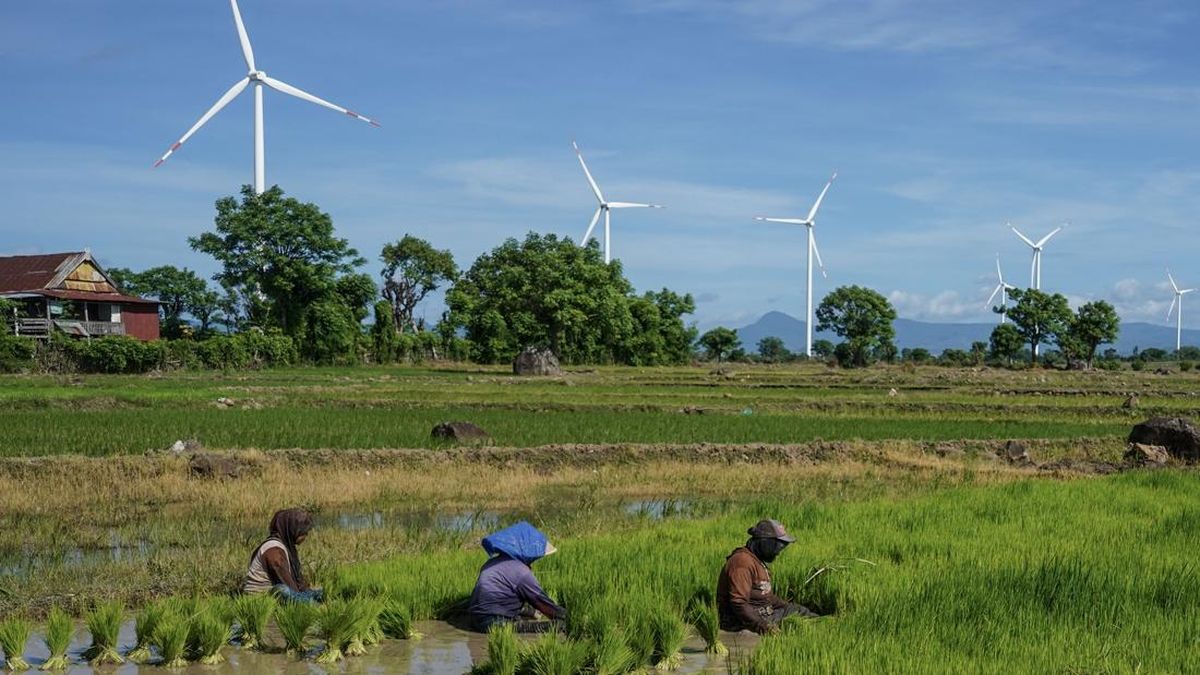 Sektor Mana Terbanyak Ciptakan Kerjaan Bagi 145,77 Juta Orang RI?