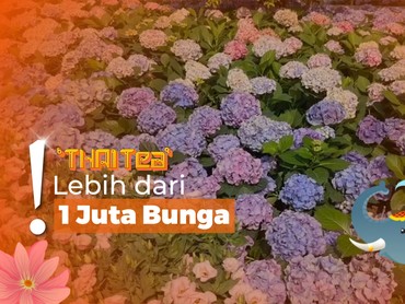 Festival Bunga Chiang Mai Thailand, Cuma Ada di Februari dan Gratis