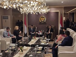 Pimpinan DPR Dasco Terima Dubes Rusia, Bahas Beasiswa-Ketahanan Pangan