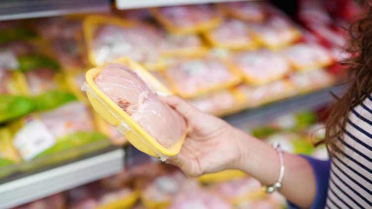 Ilustrasi Belanja Ayam Broiler Ilustrasi Belanja Ayam Broiler