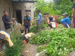 Video: Teror Anjing Hutan Serang Ternak Warga di Tasikmlaya, 7 Domba Mati