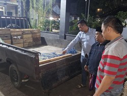 Pedagang Telur Puyuh di Malang Gagalkan Perampokan, Pelaku Kabur Panik