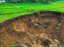 Kata Badan Geologi soal Sawah 7.000 Meter Persegi di Subang Ambles
