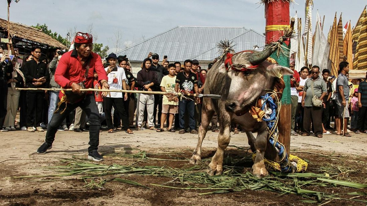 FOTO: Ritual Mengantar Arwah Suku Dayak Ngaju