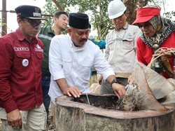 Bupati Kukar Edi Damansyah Panen Jagung Hibrida-Madu Kelulut di Tani Harapan