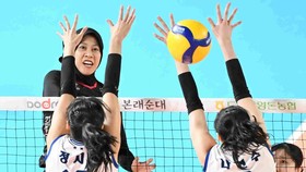 Jadwal Playoff Hillstate vs Red Sparks: Bertumpu pada Megawati