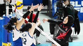 Hasil Liga Voli Korea: Megawati 15 Poin, Red Sparks vs Hillstate 1-1