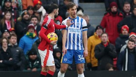 Bek Brighton Joel Veltman: Saya Serius Ingin Bela Timnas Indonesia