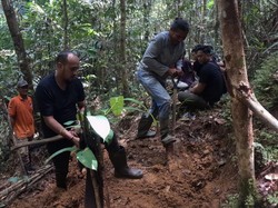 Wanita Ditemukan Tinggal Kerangka di Hutan Sorong, Diduga Dibunuh 2023