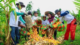 BRI Menanam - Grow & Green Jaga Kelestarian dan Dongkrak Ekonomi Warga