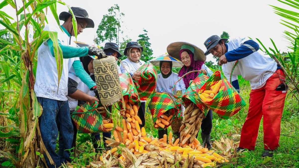 BRI Menanam - Grow dan Green Jaga Kelestarian dan Dongkrak Ekonomi Warga