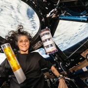 Sunita Williams, Astronaut Perempuan NASA yang Berhasil Pecahkan Rekor Spacewalk Terlama