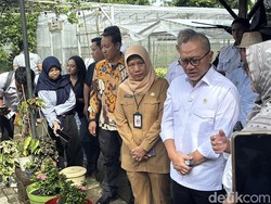 Zulhas Puji Kelompok Tani di Surabaya, Bisa Jadi Contoh Kemandirian Pangan