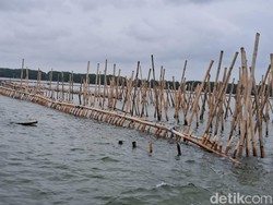 4 Fakta Perkara Pagar Laut Bekasi Jerat 9 Tersangka