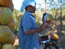 Beli Air Kelapa di Pinggir Jalan, Wanita Ini Justru Dapat Wejangan Hidup