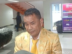 Hotman Paris Digigit Berang-berang, Langsung Suntik Rabies